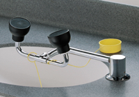 Bradley&reg; Swing Activated Eye Wash Station 